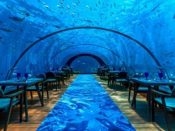 Underwater Restaurants.jpg