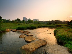 BISHAN PARK - NATURE LANDSCAPE Photo © Singapore Tourism Board.jpg