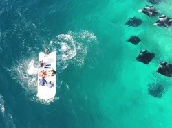 Manta Season - Hanifaru Bay.jpg