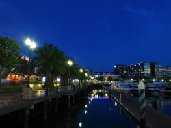 A waterfront marina at night with palm trees, illuminated street lamps, moored boats, and modern buildings reflecting on the calm water under a deep blue sky.