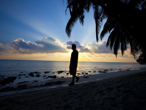 A silhouette of a person walking along a sandy beach at sunset, with palm tree branches overhead, rocks scattered along the shore, and sun rays streaming through clouds over the calm sea.