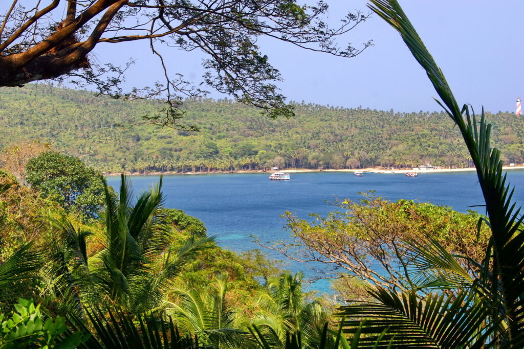 A scenic view of a tropical bay with blue water, surrounded by lush green trees and hills. Several boats are moored near the shore under a clear blue sky.