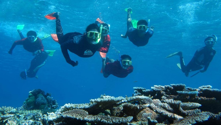 Five people snorkelling underwater above a coral reef, all wearing masks, snorkels, and fins, swimming together in clear blue water, with colourful coral visible below them.