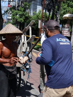 A man wearing a blue shirt hands an object to a shirtless man with a conical hat on a city pavement, with trees and buildings in the background.