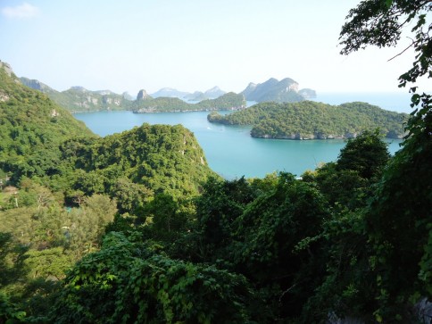 A scenic view of lush green islands and hills surrounded by blue water under a clear sky, with dense vegetation in the foreground.