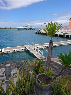 A jetty with a walkway extending over blue water, a large yacht in the background, and potted tropical plants in the foreground under a partly cloudy sky.