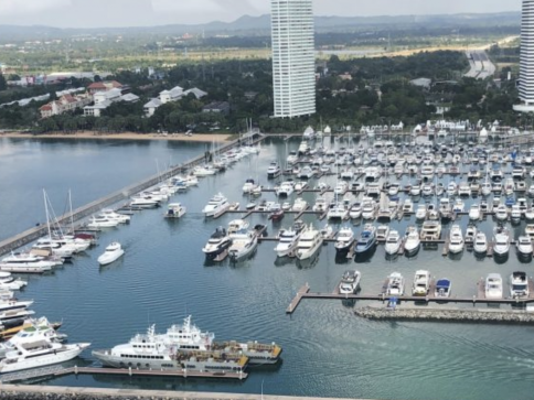 Aerial view of a marina filled with numerous moored boats and yachts, with tall buildings and greenery in the background.