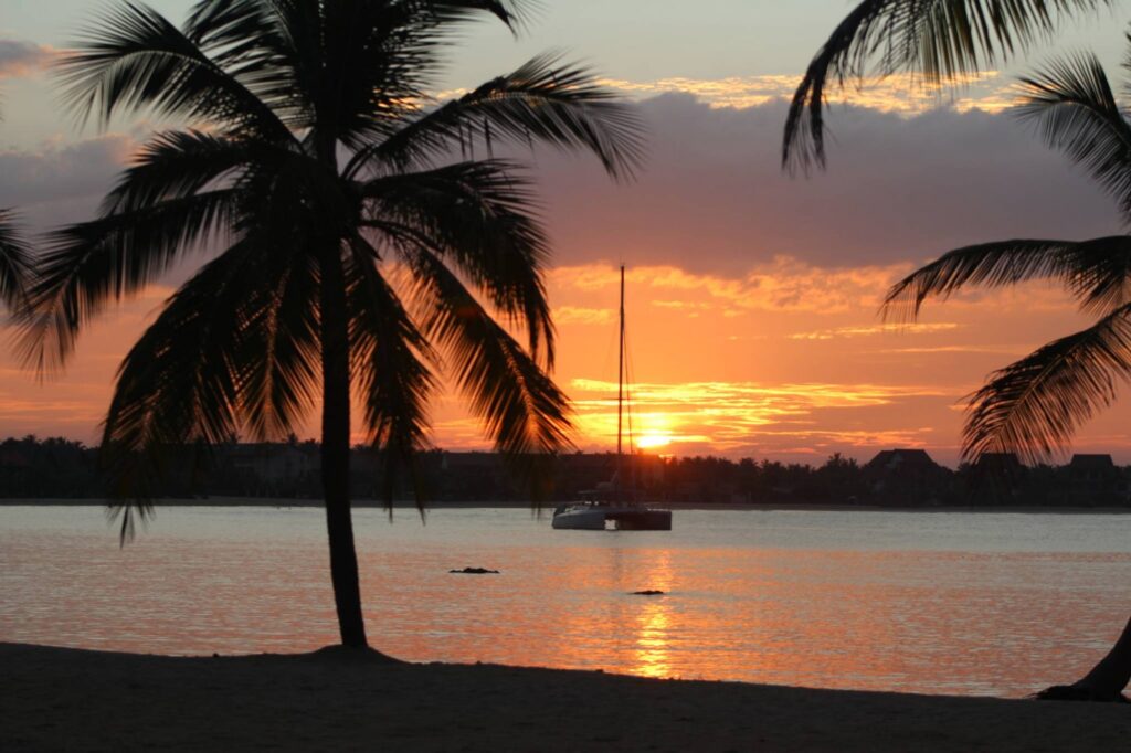 A sailboat floats on calm water at sunset, framed by silhouettes of palm trees, with orange and pink hues filling the sky and gentle waves reflecting the light.