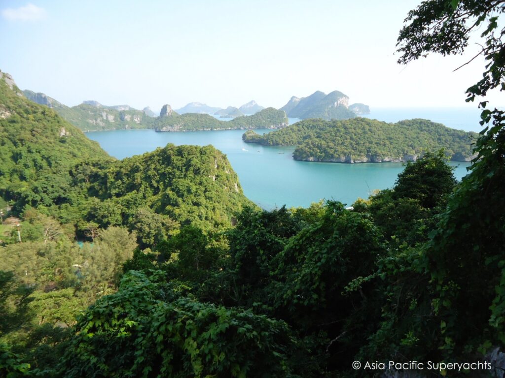 View of lush green islands and hills surrounded by blue-green water under a clear sky, seen from a high vantage point; dense tropical foliage in the foreground.