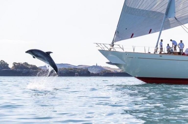 A dolphin leaps out of the water near a sailboat, where several people are standing on deck. The scene is set on a calm body of water with distant land visible in the background.