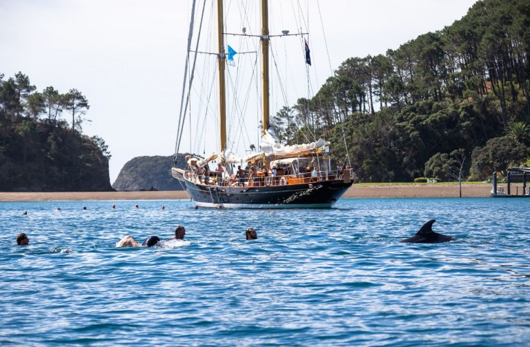 Several people swim in the water near a dolphin, with a large sailboat anchored close by and forested hills in the background under a partly cloudy sky.
